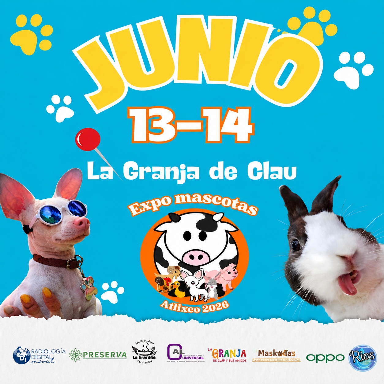 Expo Mascota